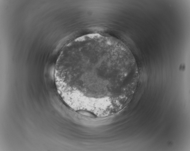 X0000112460047200909281032