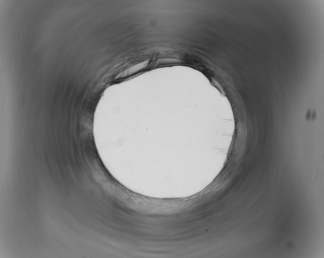 X0000112460048200909281032