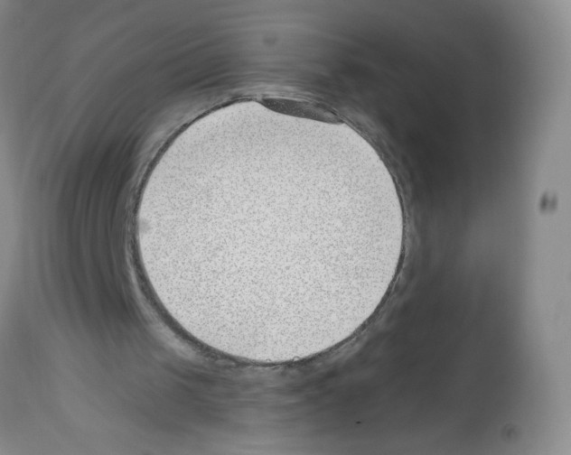 X0000112460049200909281031