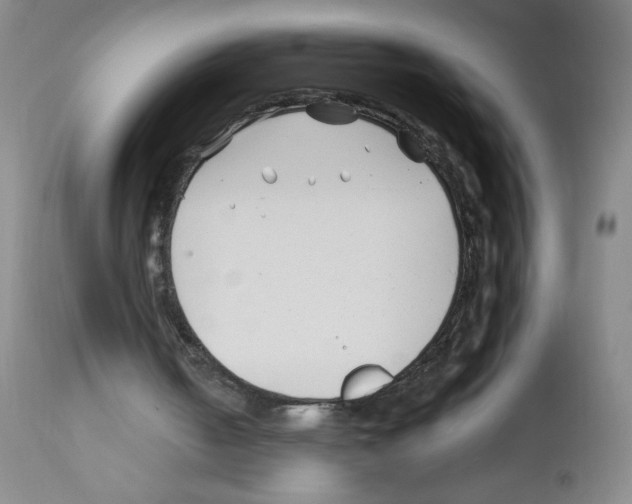 X0000112460050200909281031