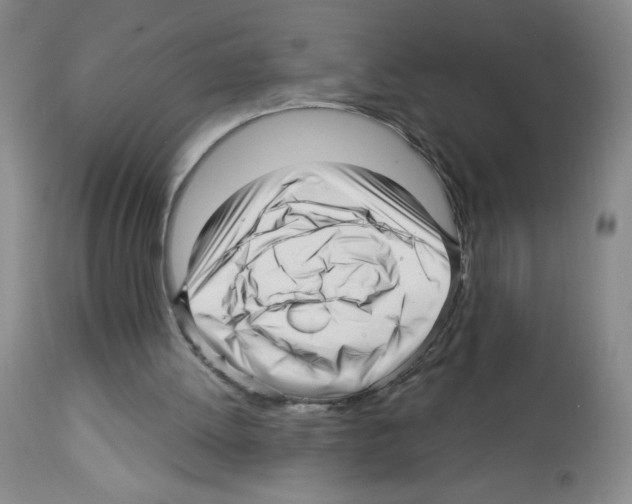 X0000112460052200909281031
