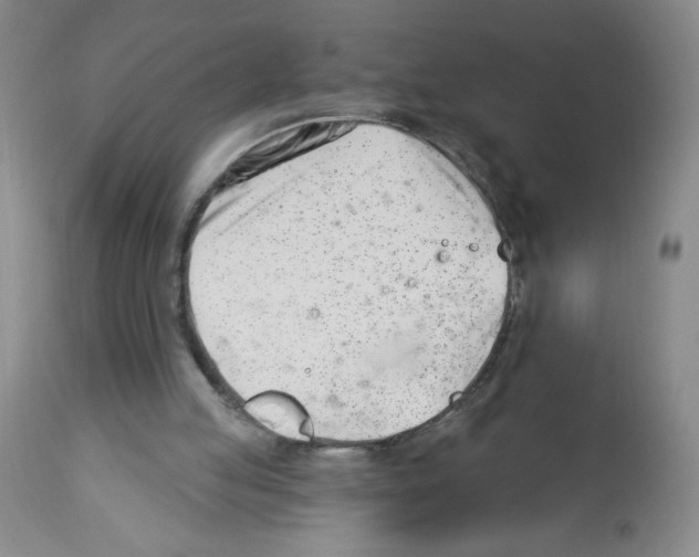 X0000112460053200909281031