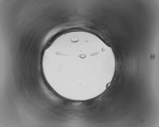 X0000112460054200909281031