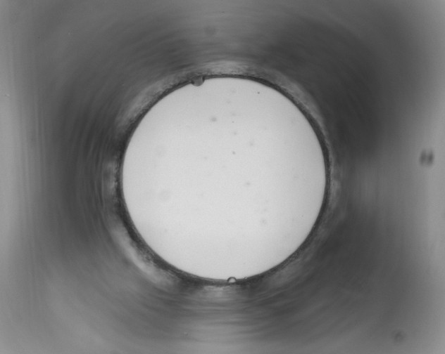 X0000112460057200909281031