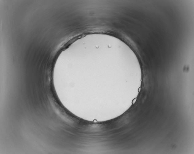 X0000112460059200909281031