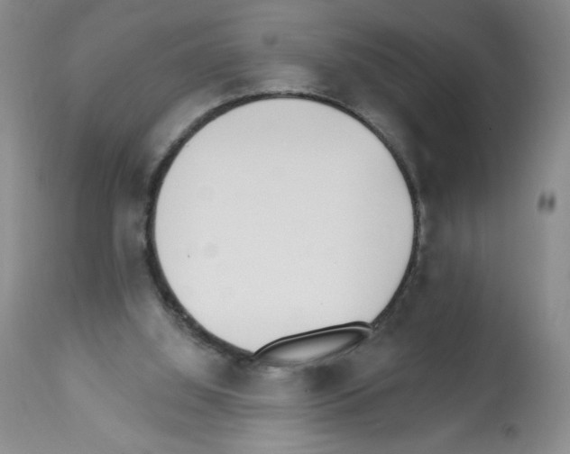 X0000112460060200909281031