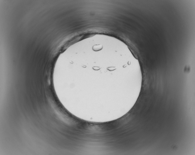 X0000112460062200909281031