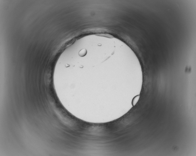 X0000112460063200909281031