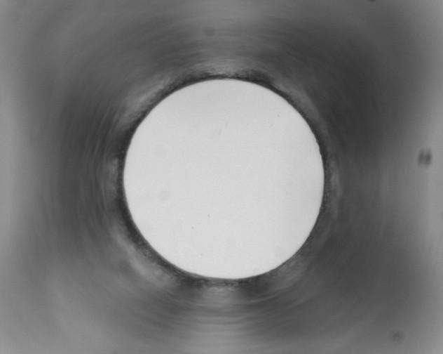 X0000112460066200909281031