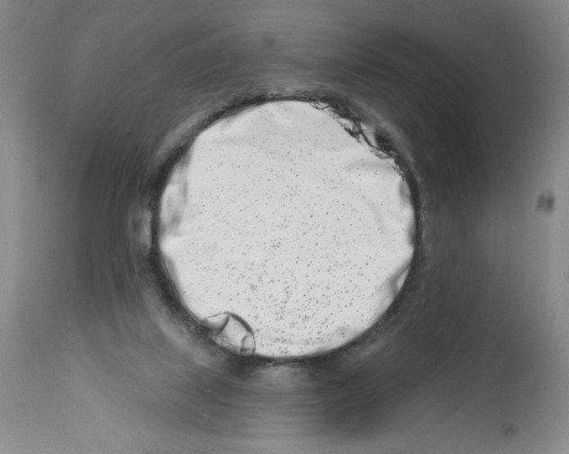 X0000112460067200909281031