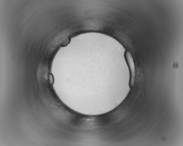 X0000112460068200909281031