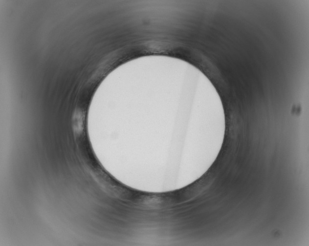 X0000112460075200909281031