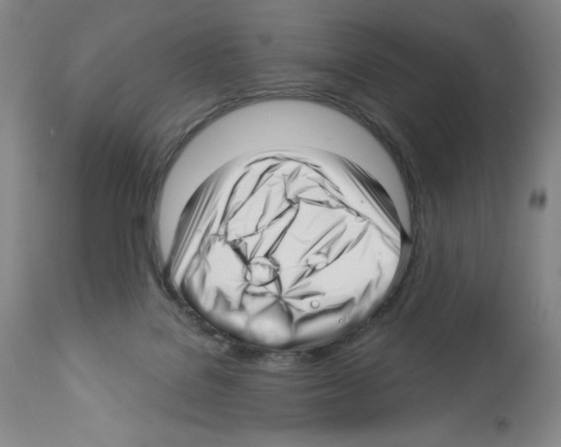 X0000112460076200909281031