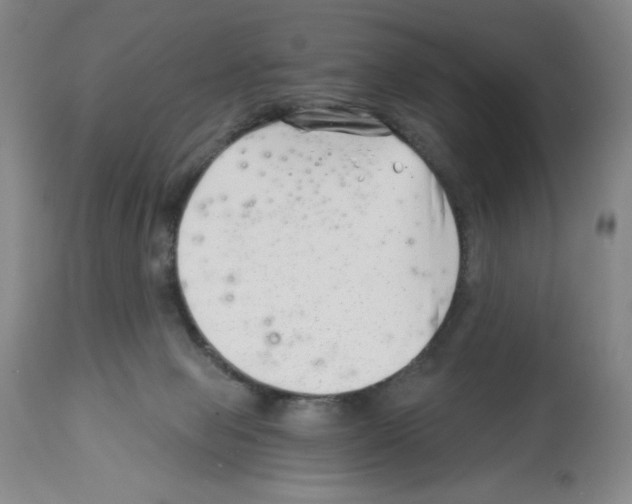 X0000112460077200909281031