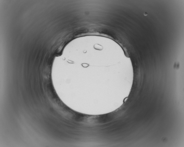 X0000112460078200909281031