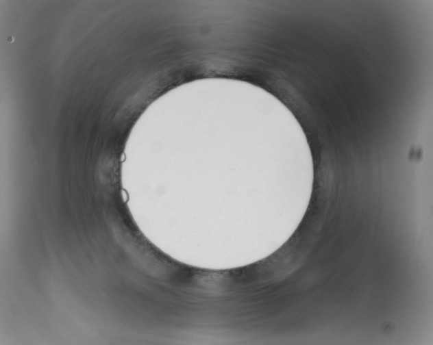 X0000112460079200909281031