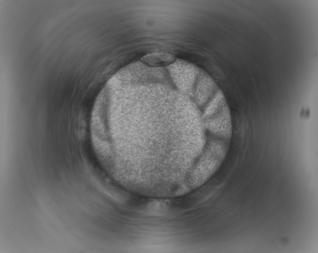 X0000112460080200909281031