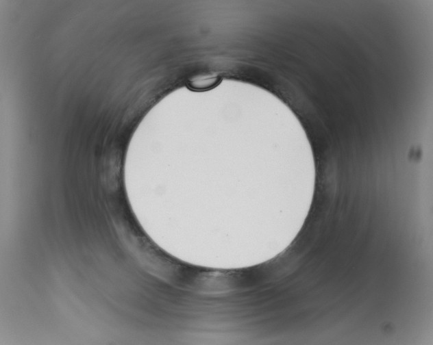 X0000112460082200909281031