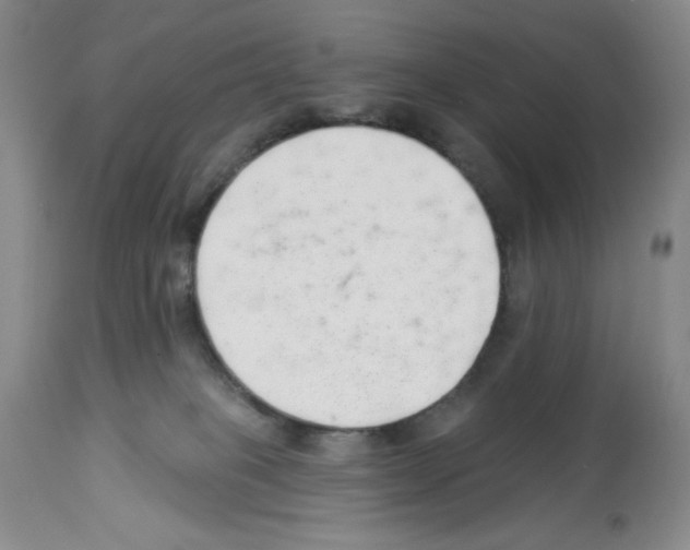 X0000112460085200909281031