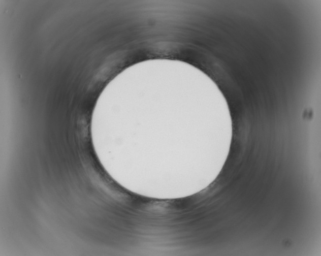 X0000112460086200909281031