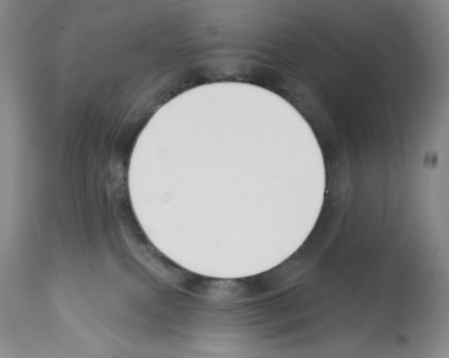 X0000112460087200909281032