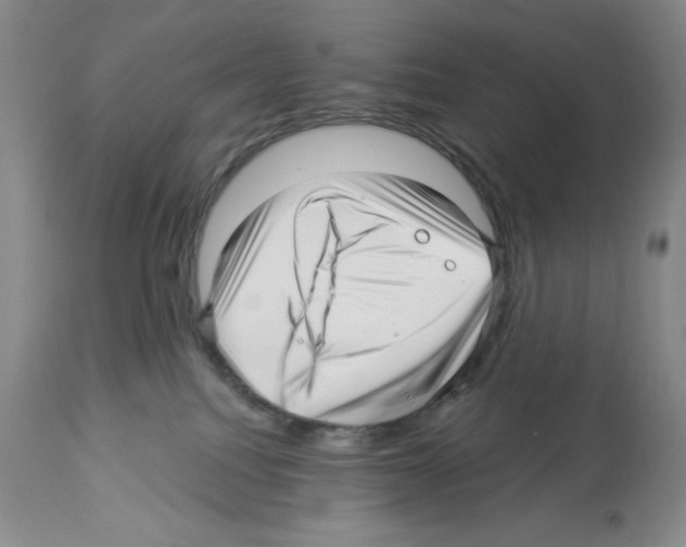 X0000112460088200909281032