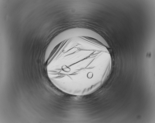 X0000112460092200909281032
