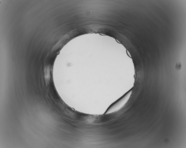 X0000112460094200909281032