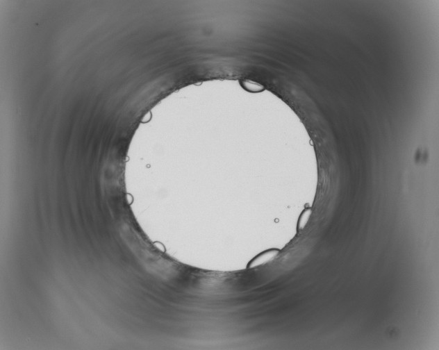 X0000112460096200909281032