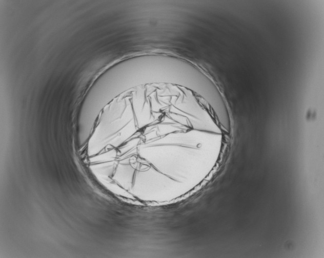 X0000112460097200909281031