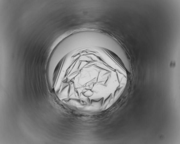 X0000112460100200909281030