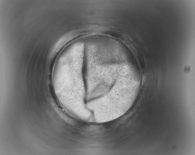 X0000112460101200909281030