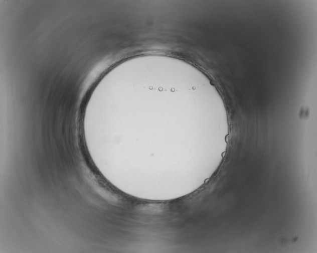 X0000112460102200909281030