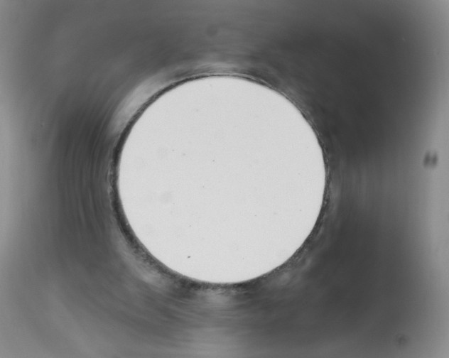 X0000112460103200909281030