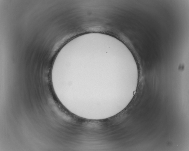 X0000112460106200909281030