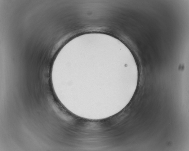 X0000112460107200909281030