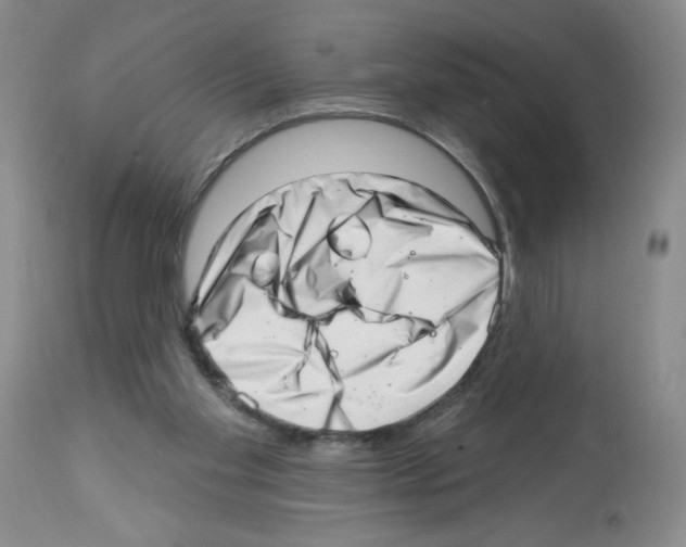 X0000112460109200909281030