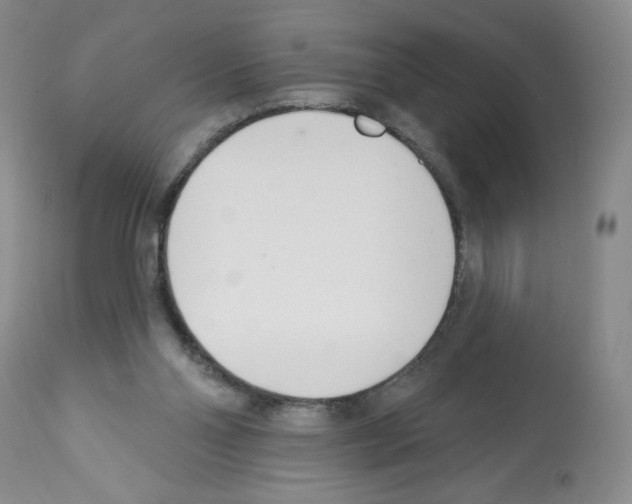 X0000112460110200909281030