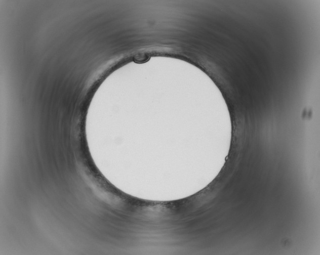 X0000112460112200909281030