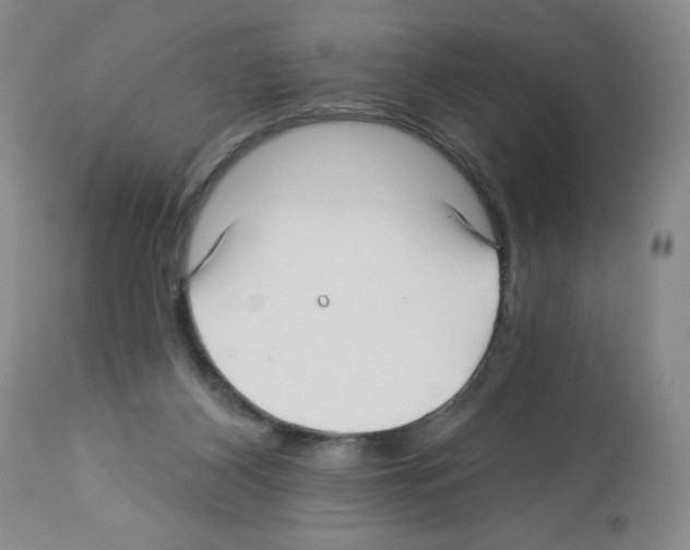 X0000112460116200909281030
