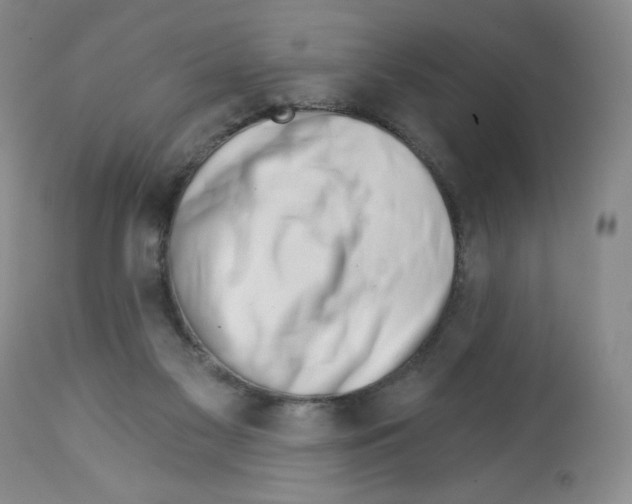 X0000112460117200909281030