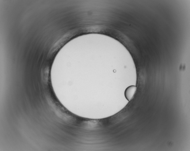 X0000112460118200909281030