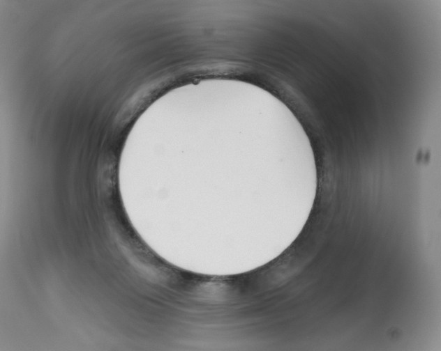 X0000112460119200909281030