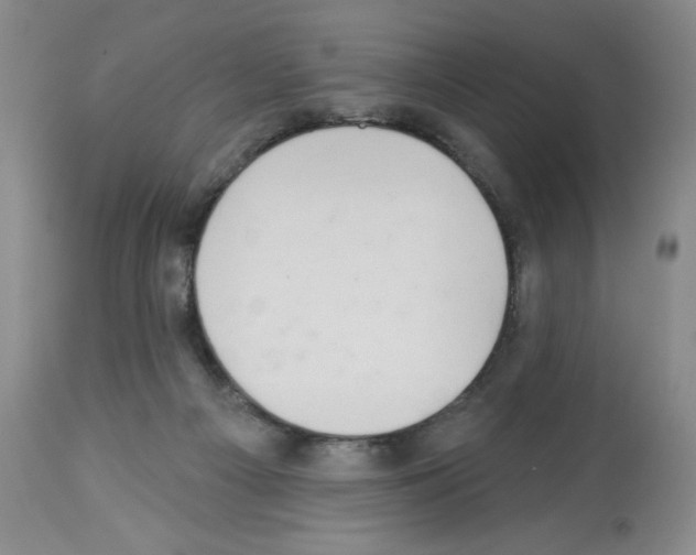 X0000112460121200909281030