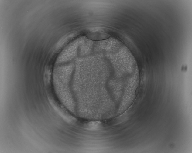 X0000112460124200909281030