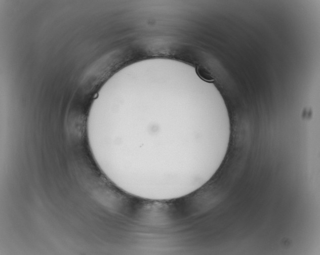 X0000112460125200909281030