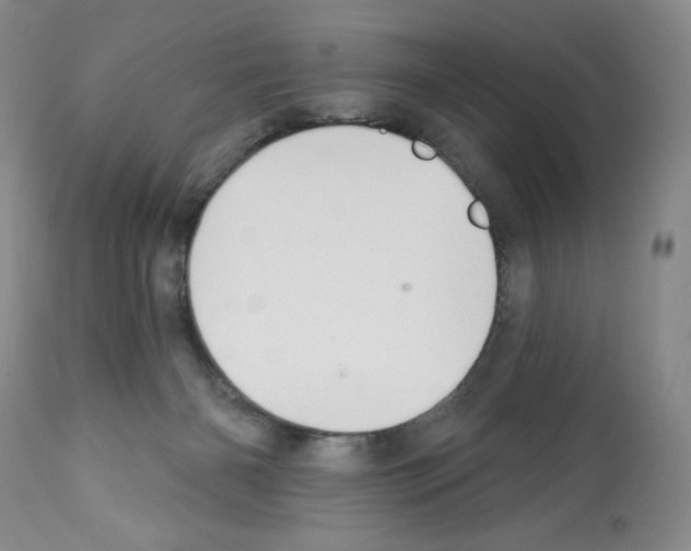 X0000112460126200909281030