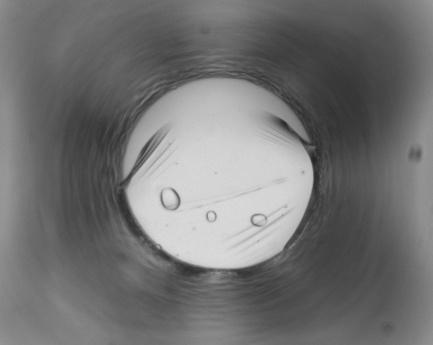 X0000112460128200909281030