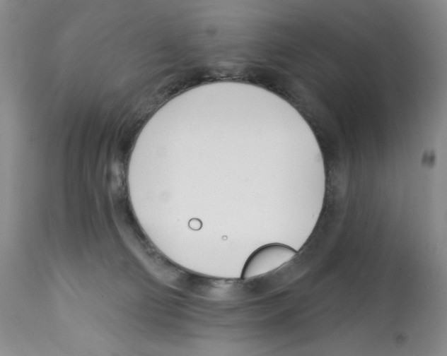 X0000112460130200909281030