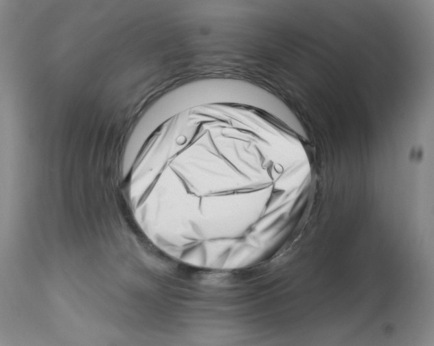 X0000112460132200909281030